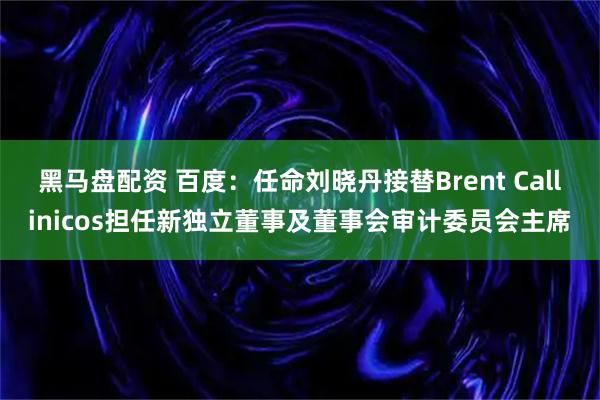 黑马盘配资 百度：任命刘晓丹接替Brent Callinicos担任新独立董事及董事会审计委员会主席