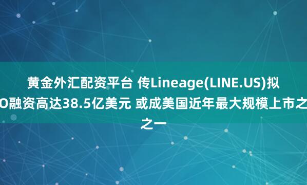 黄金外汇配资平台 传Lineage(LINE.US)拟IPO融资高达38.5亿美元 或成美国近年最大规模上市之一